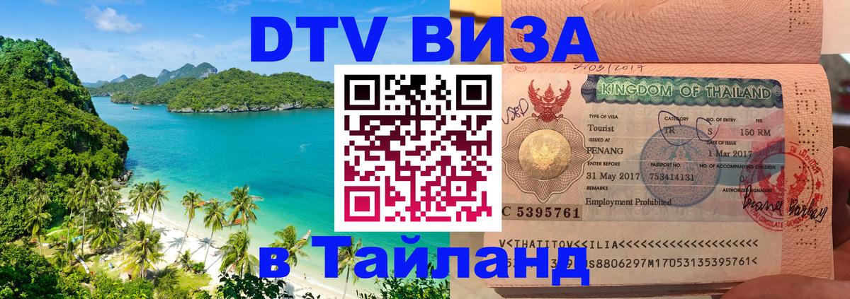Сколько стоит DTV виза — актуальные цены, оформление даже без документов - Северодвинск 
